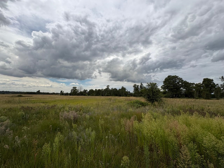 0 Bedroom Property for Sale in Vaalpark Free State